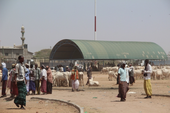 Garissa Livestock market